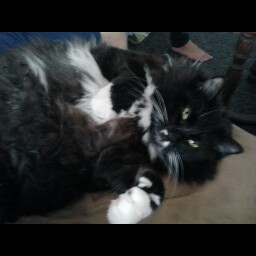 Kimberly Raymond Photo 14