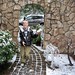 Ricky Snow Photo 13