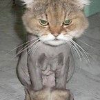 Susie Greene Photo 29