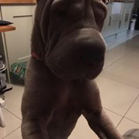 Stuart Noble Photo 30 Stuart Noble Photo 30