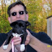 Thomas Shockley Photo 20