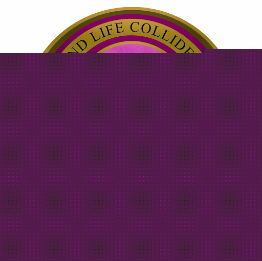 Tracey Hinton Photo 22