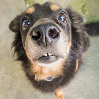 Joshua Lambert Photo 32