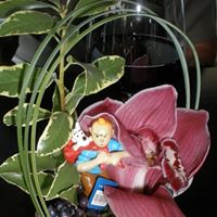 Julie Cruse Photo 11