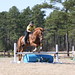 Laura Tinker Photo 17