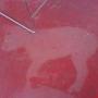 Patricia Thacker Photo 24