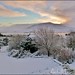 Dawn Mayo Photo 8