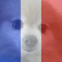 Annette Wyatt Photo 9