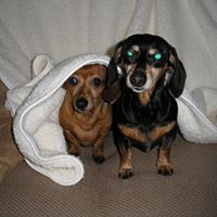 Brian Rowland Photo 37 Brian Rowland Photo 37