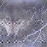 Nancy Newland Photo 13