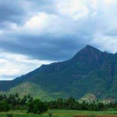 Ramkumar Krishnan Photo 9