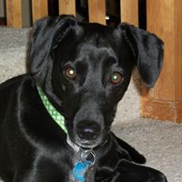 Celia Anderson Photo 19