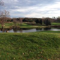 Susan Crews Photo 16