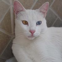 Barbara Flemming Photo 9