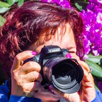 Linda Artley Photo 4