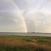 Michael Wicks Photo 42