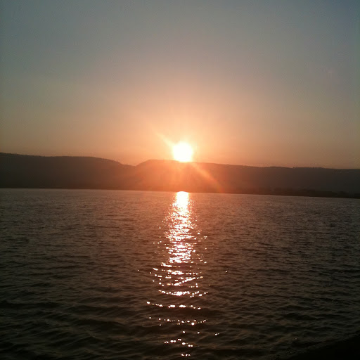 Joanne Ross Photo 16