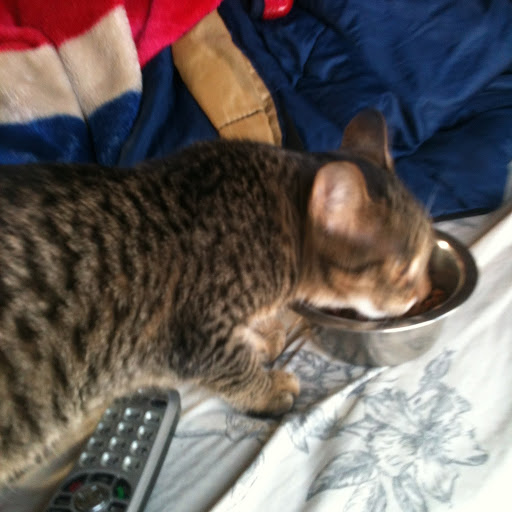 Rita Erickson Photo 10