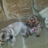 Frederick Dillard Photo 3