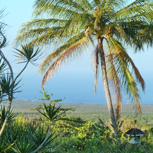 Anna Kramer Photo 20