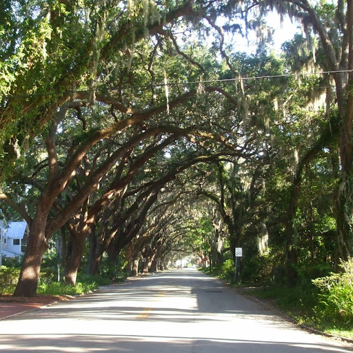 Christie Duke Photo 5