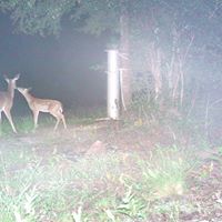 Debra Jordan Photo 18