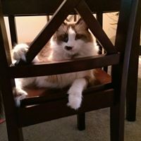 Paula Daigle Photo 10