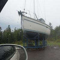 Denise Simons Photo 31