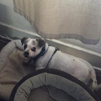 Bertram Smith Photo 21