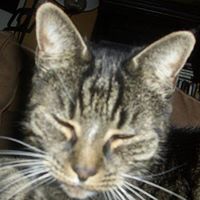 Kelly Power Photo 11