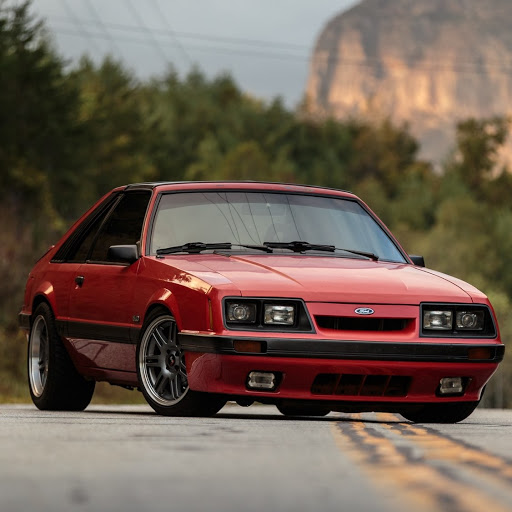 Stephen Ingram Photo 15