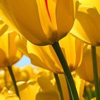 Julie Whitacre Photo 9