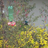 Jackie Barnett Photo 25