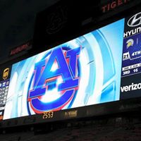 Laura Dempsey Photo 26 Laura Dempsey Photo 26