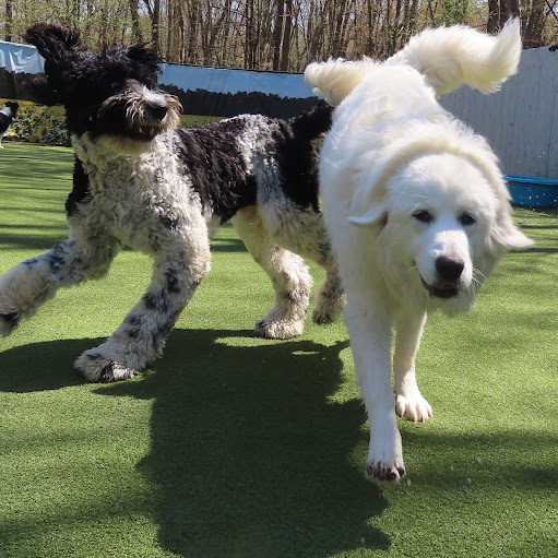 Joanne Morris Photo 17