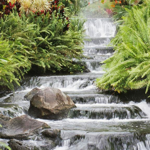 Ronald Simpson Photo 13