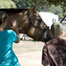 Robin Wyatt Photo 9
