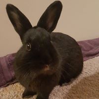 Andy Rosenthal Photo 10 Andy Rosenthal Photo 10