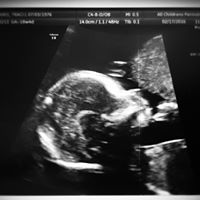 Traci Browning Photo 12