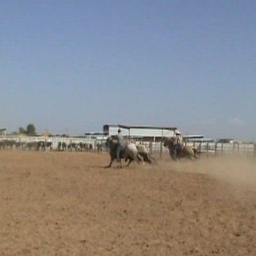 Tony Dunlap Photo 32