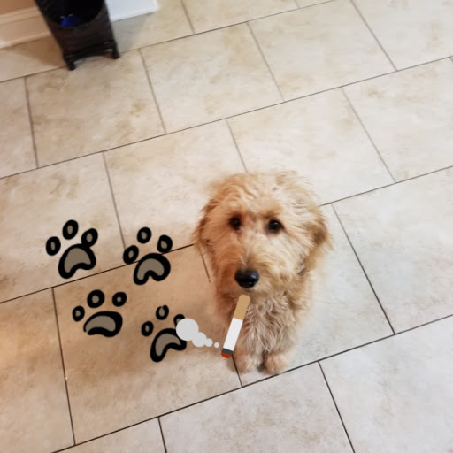 Kenny Barnett Photo 29