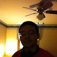 Jack Russell Photo 19