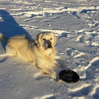 Vicki Hartshorn Photo 2