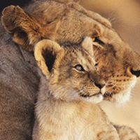 Deborah Beasley Photo 24