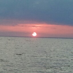 Cheryl Larsen Photo 17