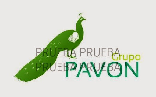 Alfredo Ortega Photo 37 Alfredo Ortega Photo 37