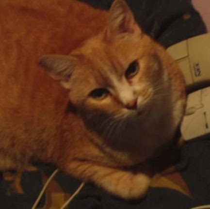 Amanda Worley Photo 17