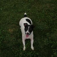 Ronald Clemens Photo 8