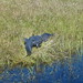 Richard Decoursey Photo 3