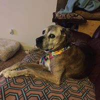 Gary Hurst Photo 47 Gary Hurst Photo 47